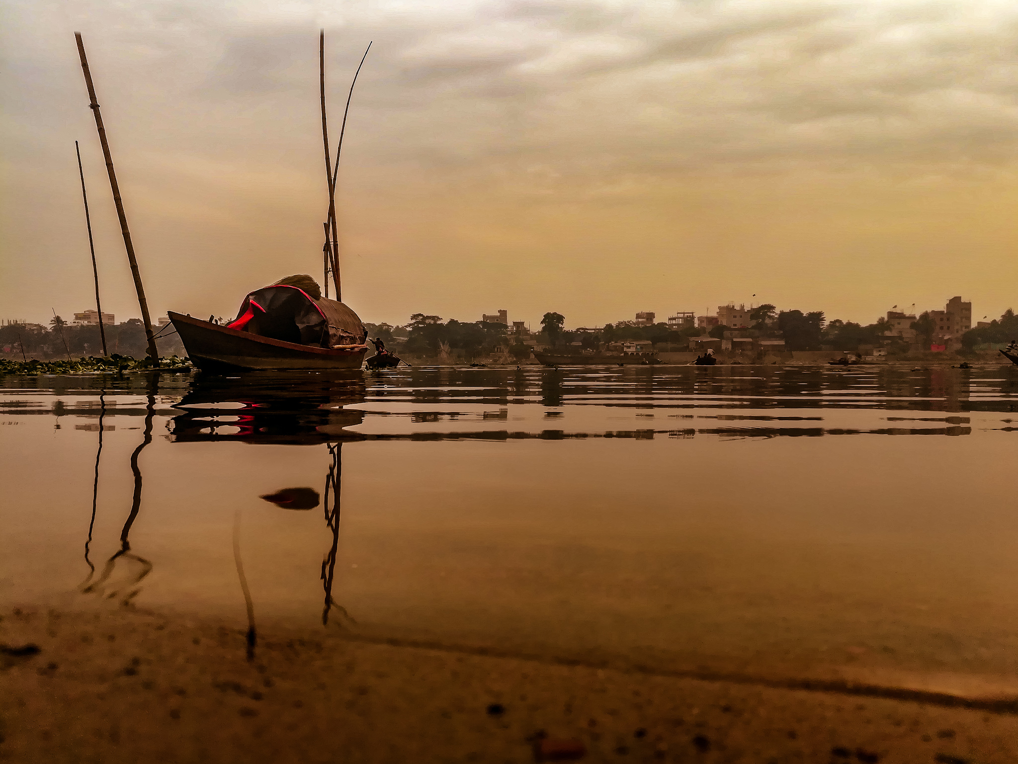 Golden Stillness